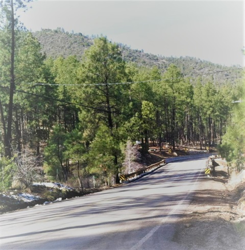 Walker Bridge2.jpg