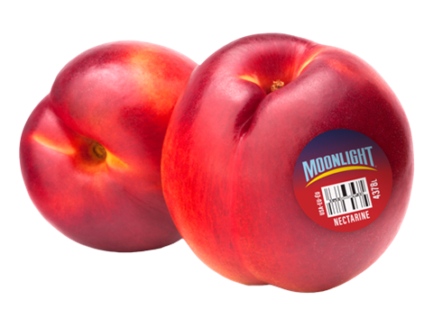 MT-Nectarines.png