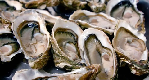 Oyster-Recall.jpg
