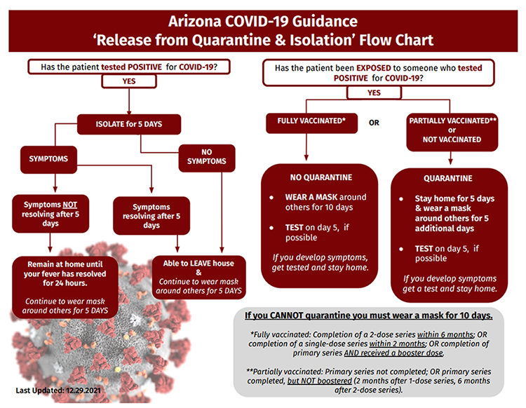 Release from quarantine and isolation flow chart